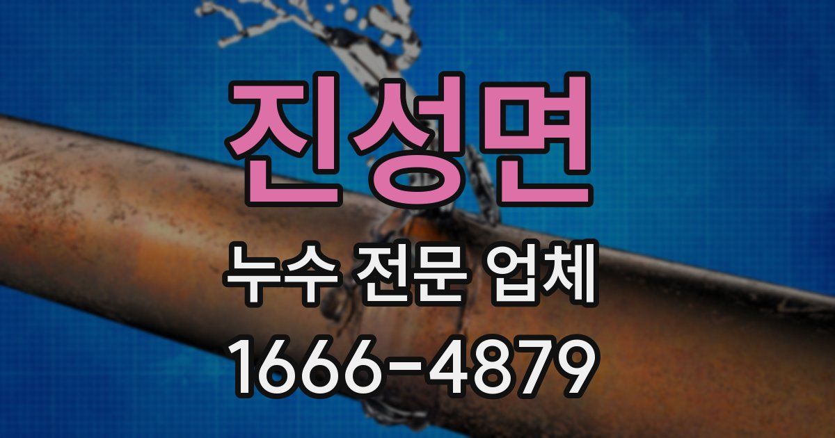 진성면 누수 전문 업체