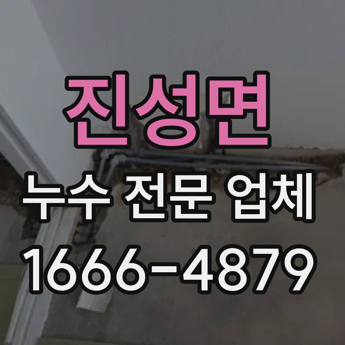 진성면 누수 전문 업체