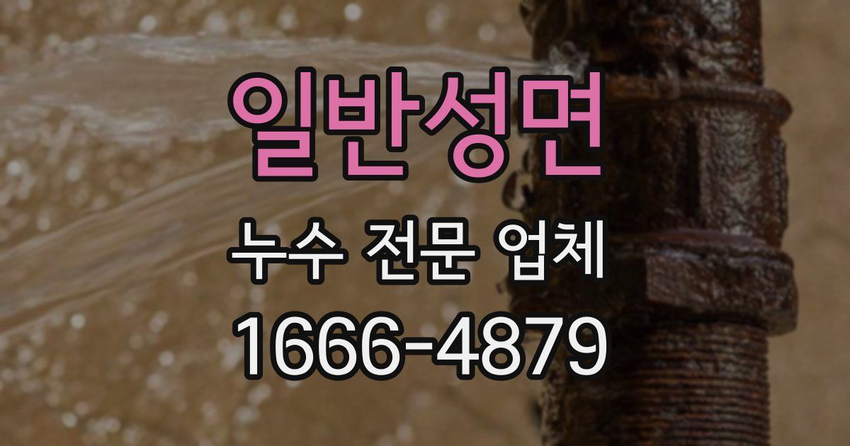 일반성면 누수 전문 업체