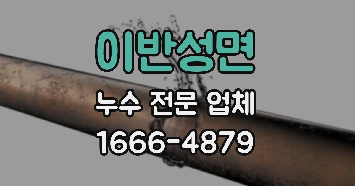 이반성면 누수 전문 업체