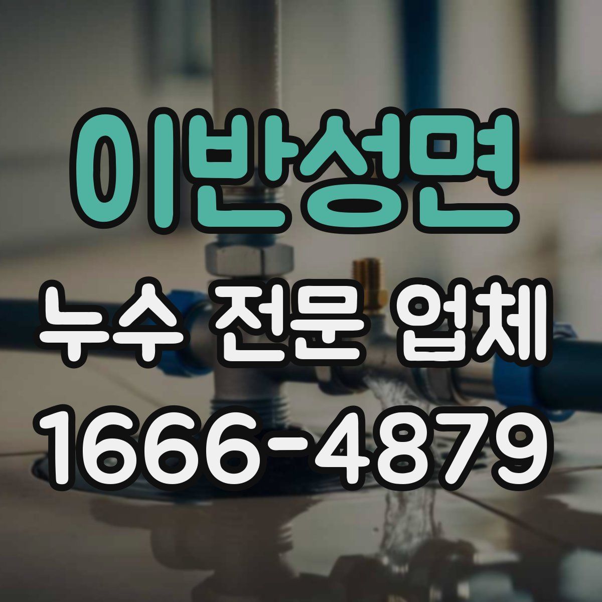 이반성면 누수 전문 업체