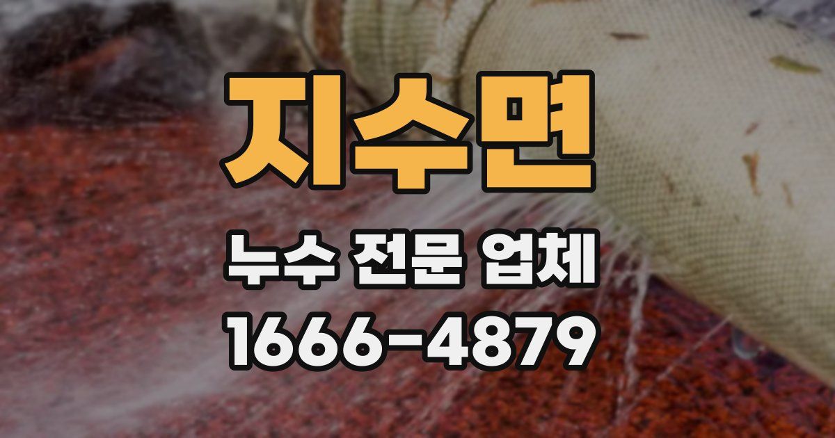 지수면 누수 전문 업체