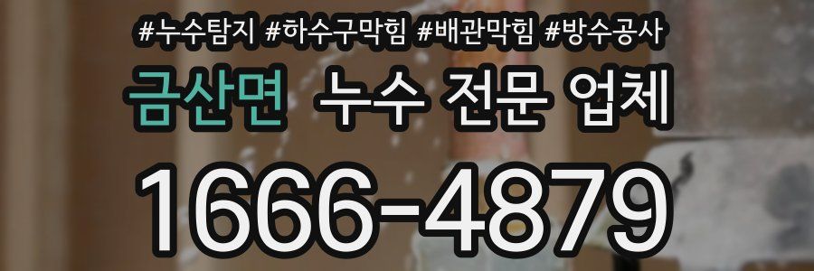 금산면 누수 전문 업체