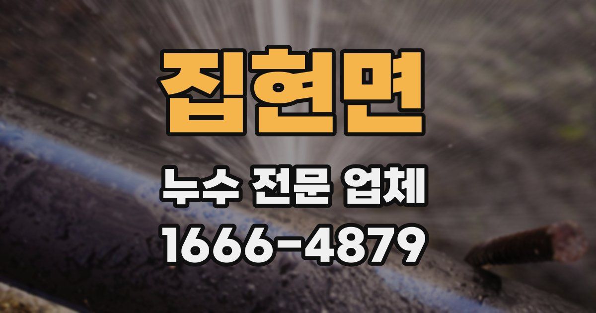 집현면 누수 전문 업체