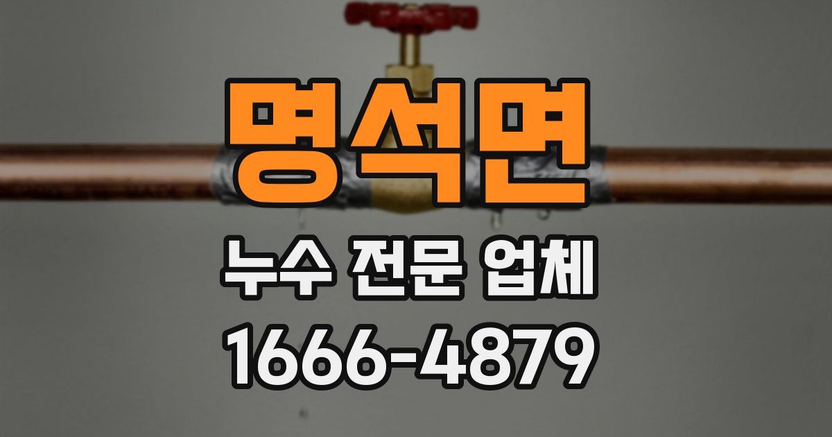명석면 누수 전문 업체