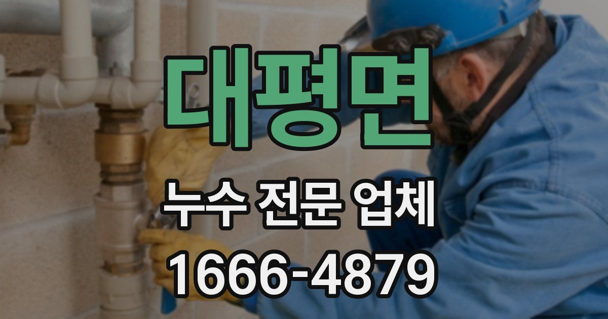 대평면 누수 전문 업체