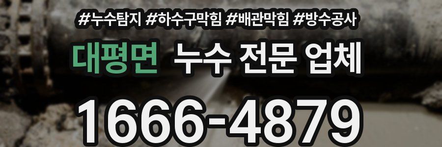 대평면 누수 전문 업체
