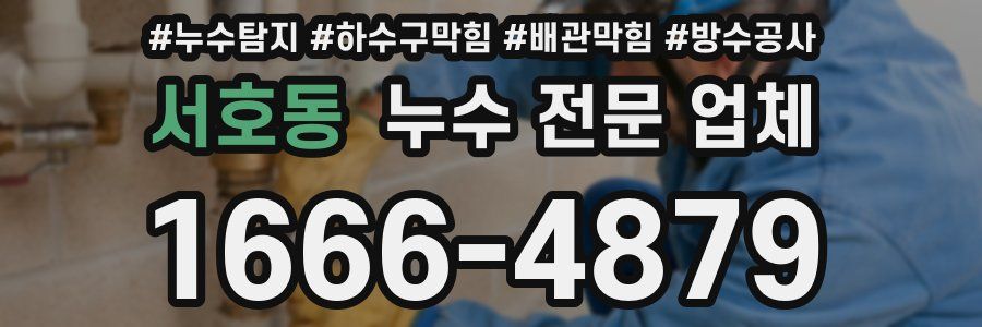 서호동 누수 전문 업체