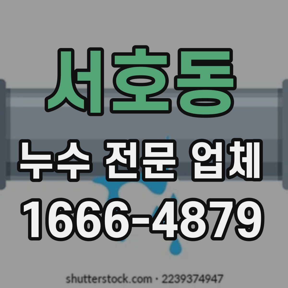 서호동 누수 전문 업체