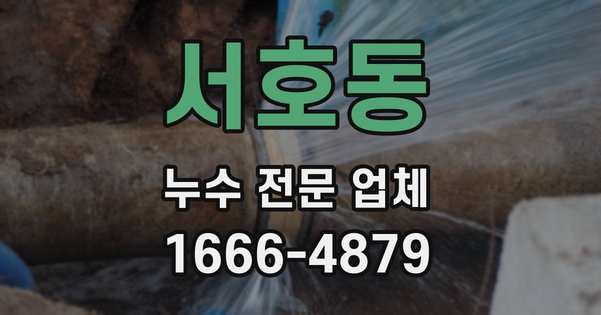 서호동 누수 전문 업체