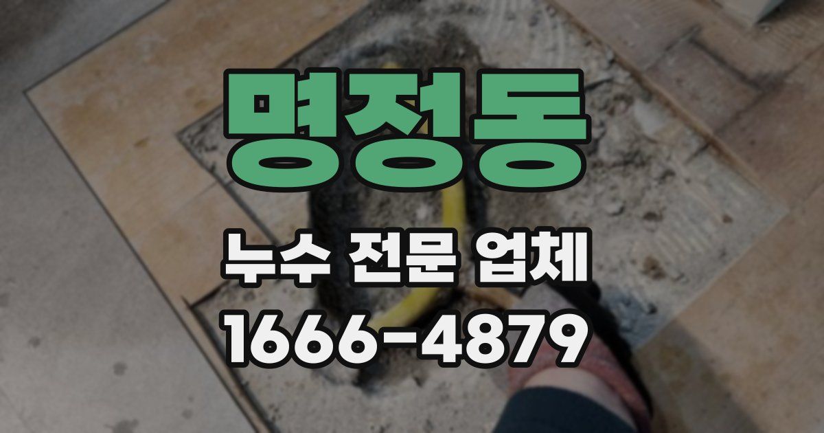 명정동 누수 전문 업체