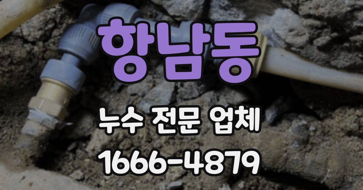 항남동 누수 전문 업체