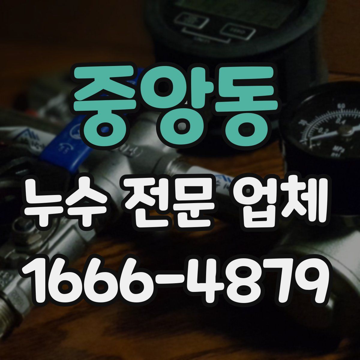 중앙동 누수 전문 업체
