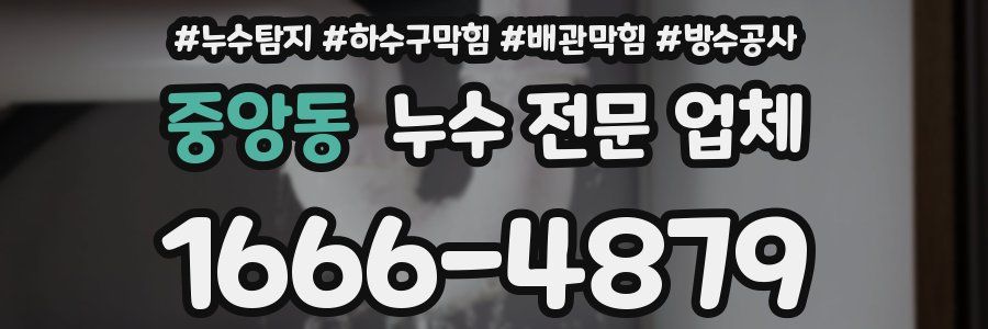 중앙동 누수 전문 업체