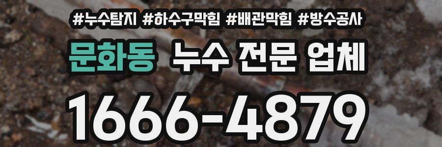 문화동 누수 전문 업체