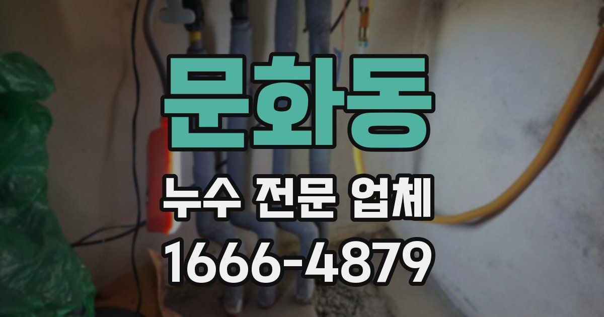문화동 누수 전문 업체
