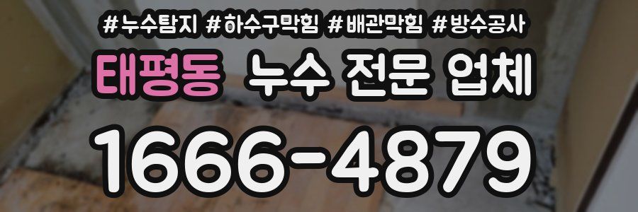 태평동 누수 전문 업체