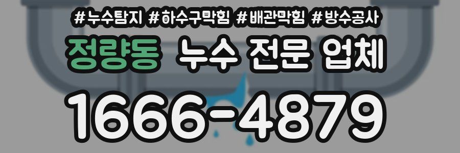 정량동 누수 전문 업체