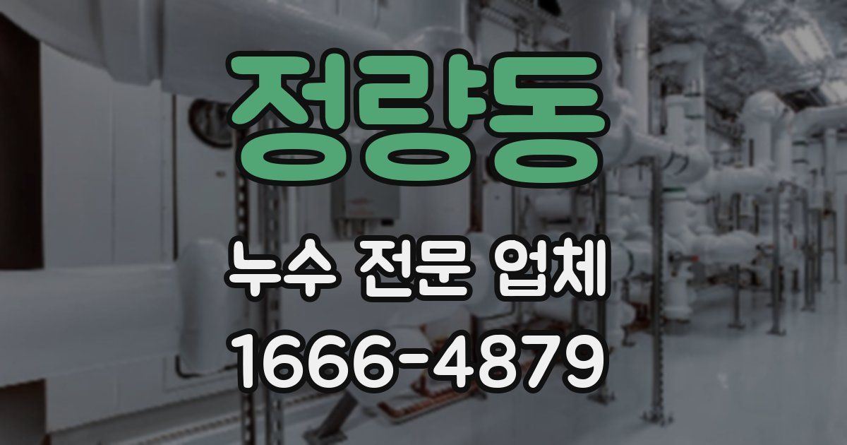 정량동 누수 전문 업체