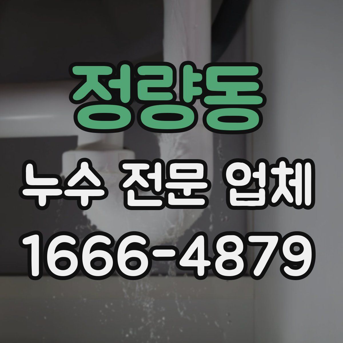 정량동 누수 전문 업체