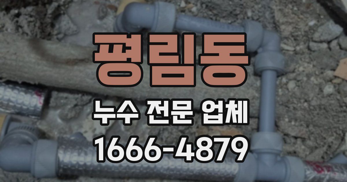 평림동 누수 전문 업체