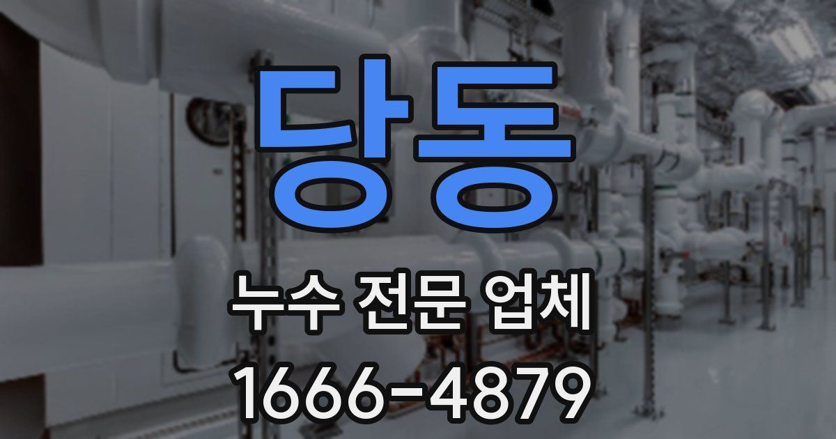 당동 누수 전문 업체