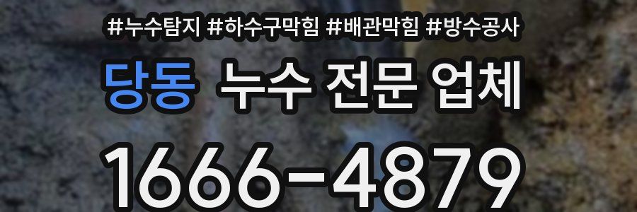 당동 누수 전문 업체