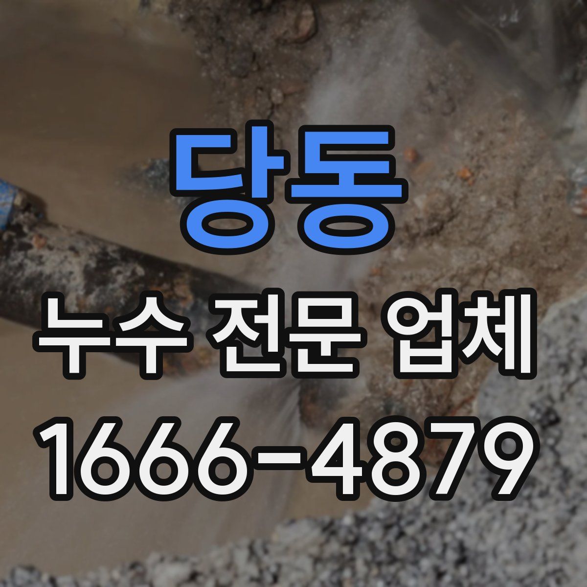 당동 누수 전문 업체