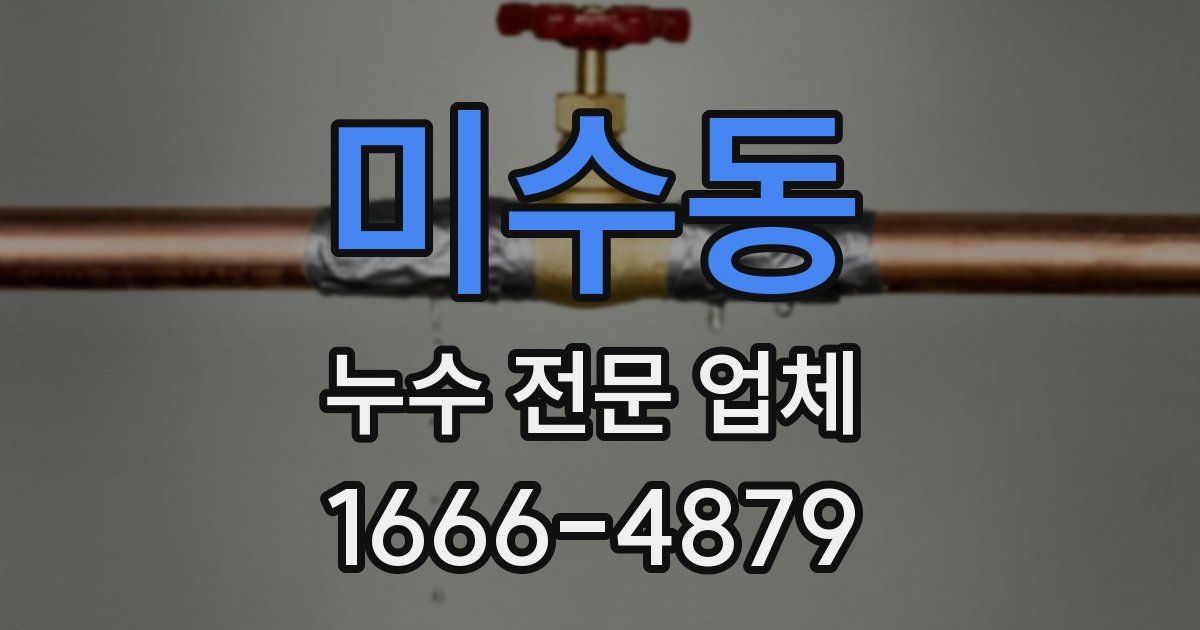 미수동 누수 전문 업체