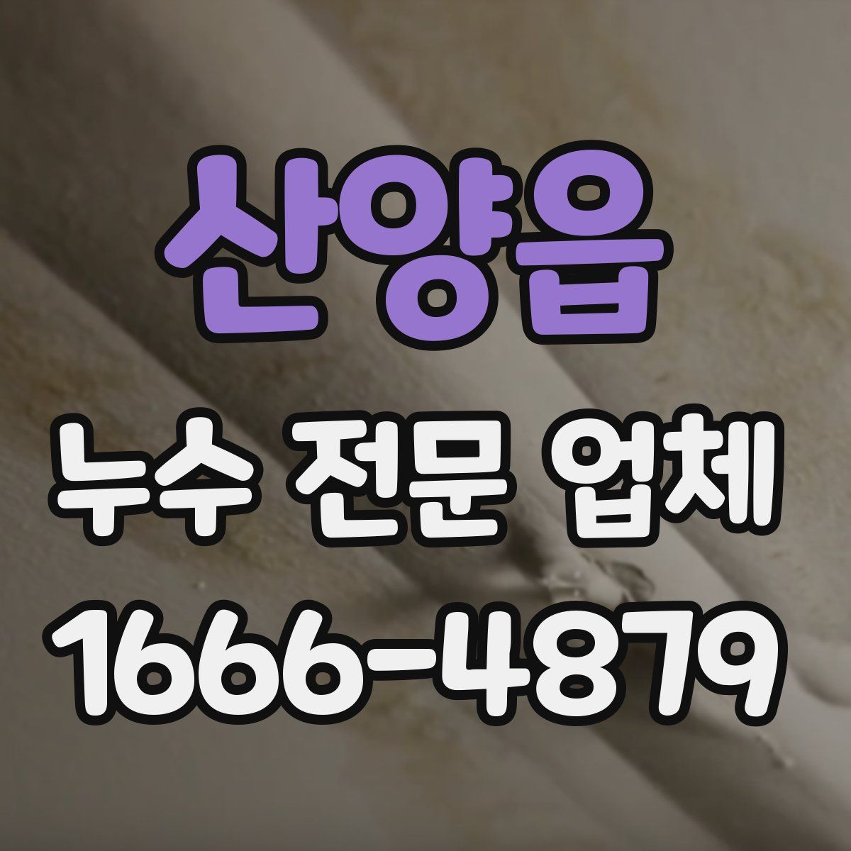 산양읍 누수 전문 업체