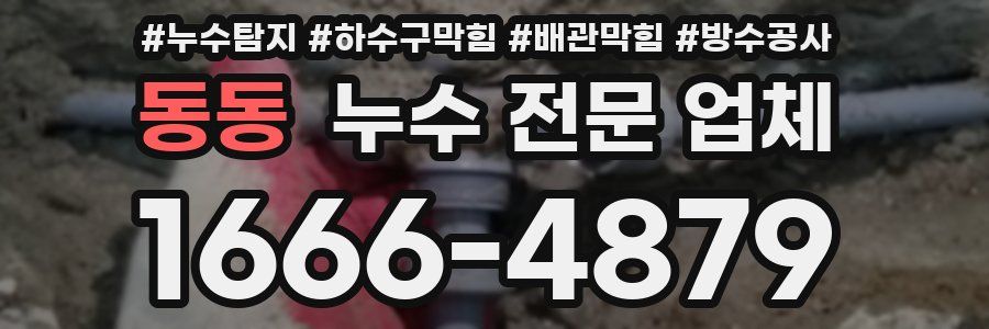 동동 누수 전문 업체