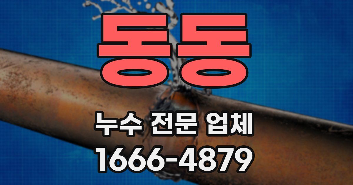 동동 누수 전문 업체