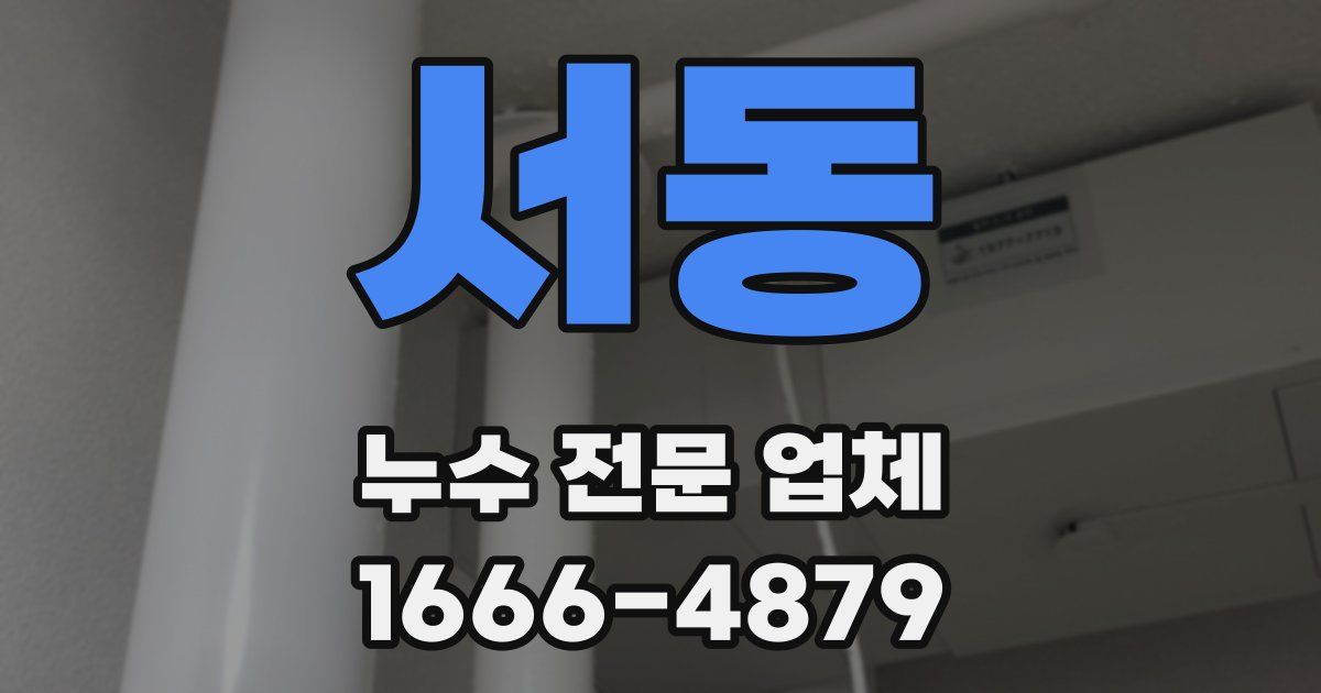 서동 누수 전문 업체