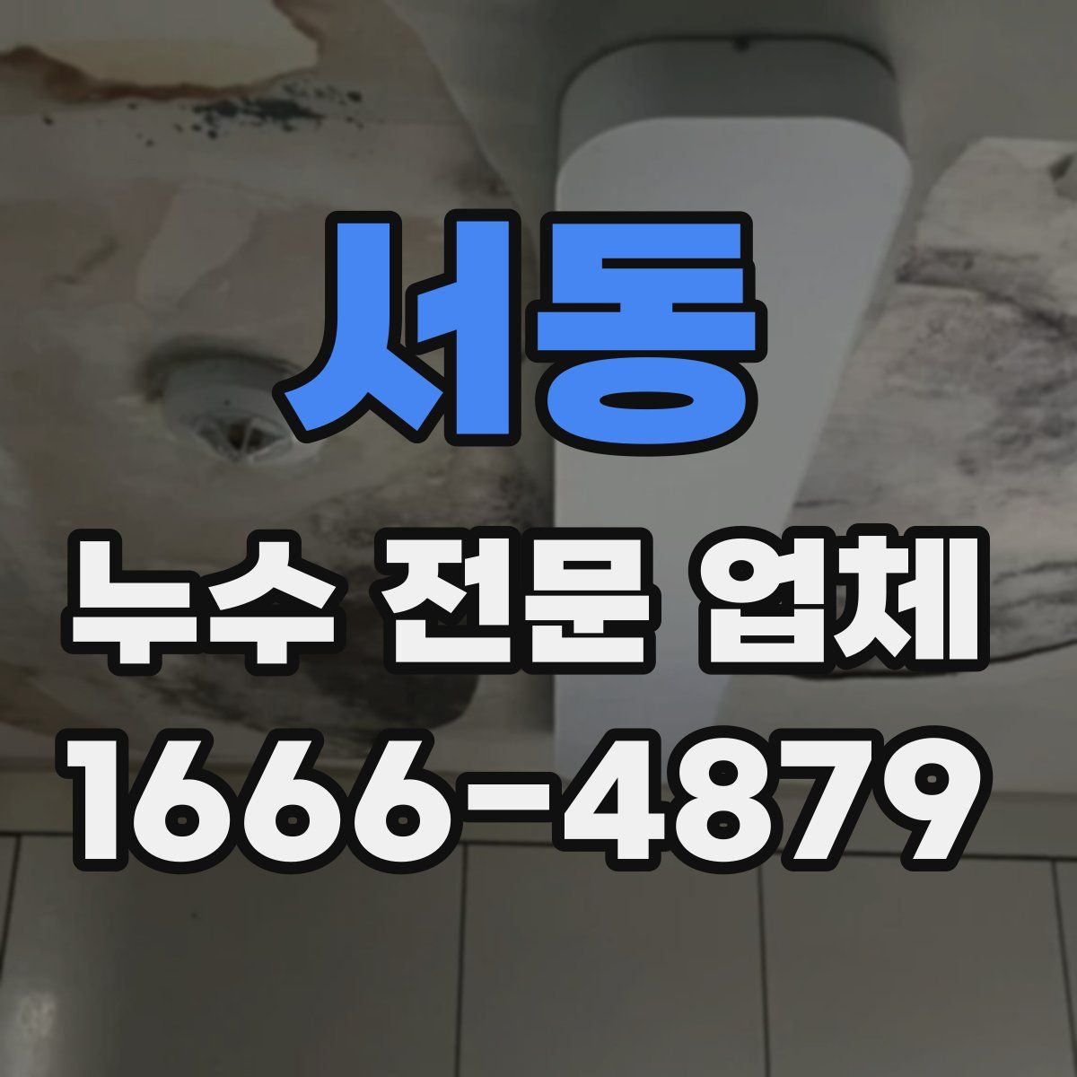 서동 누수 전문 업체