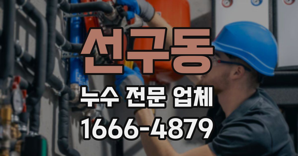 선구동 누수 전문 업체