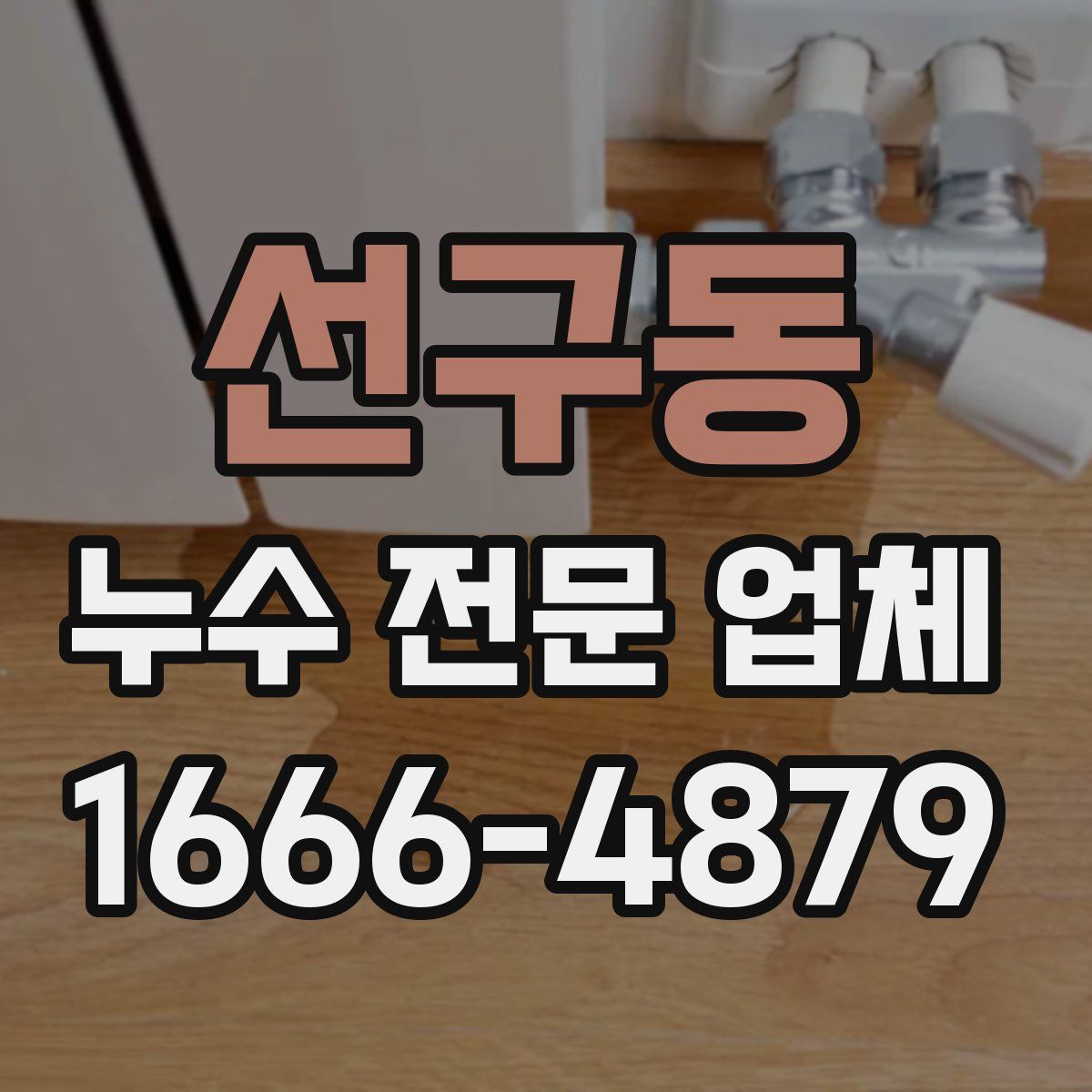 선구동 누수 전문 업체