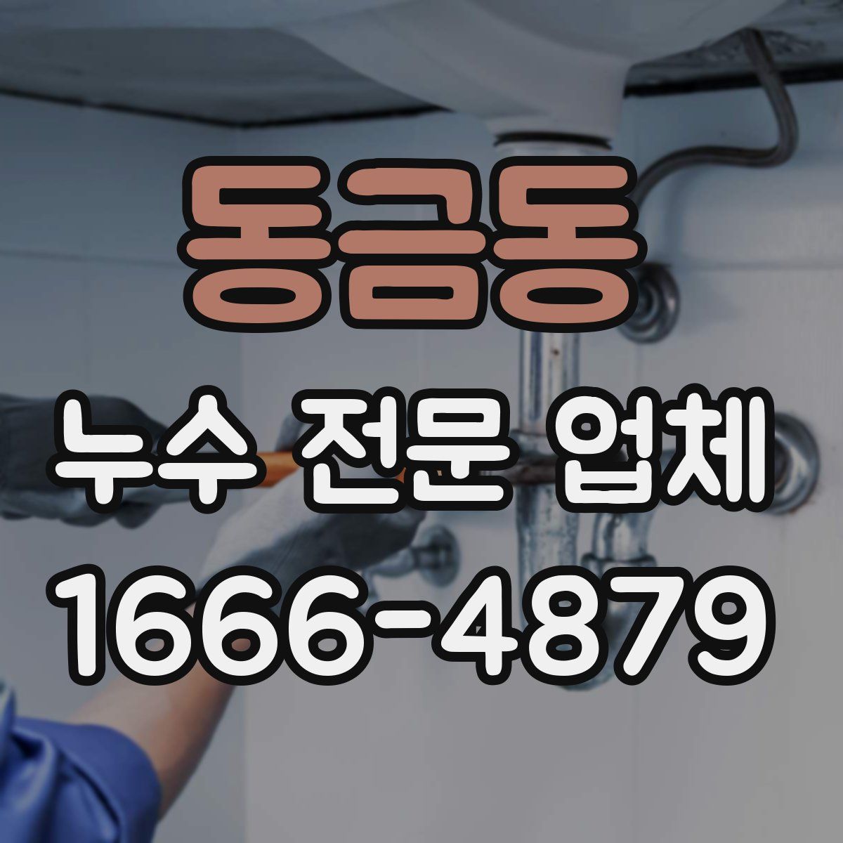동금동 누수 전문 업체