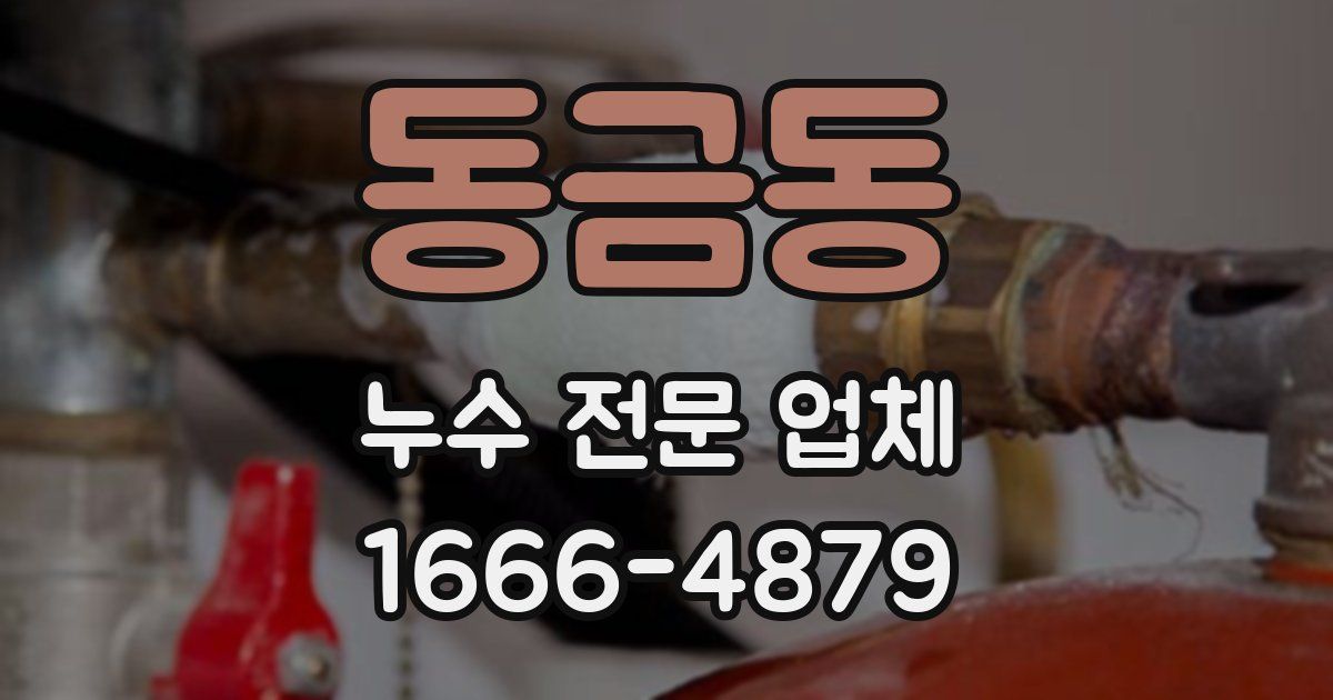 동금동 누수 전문 업체