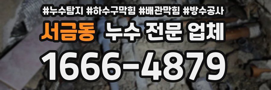 서금동 누수 전문 업체