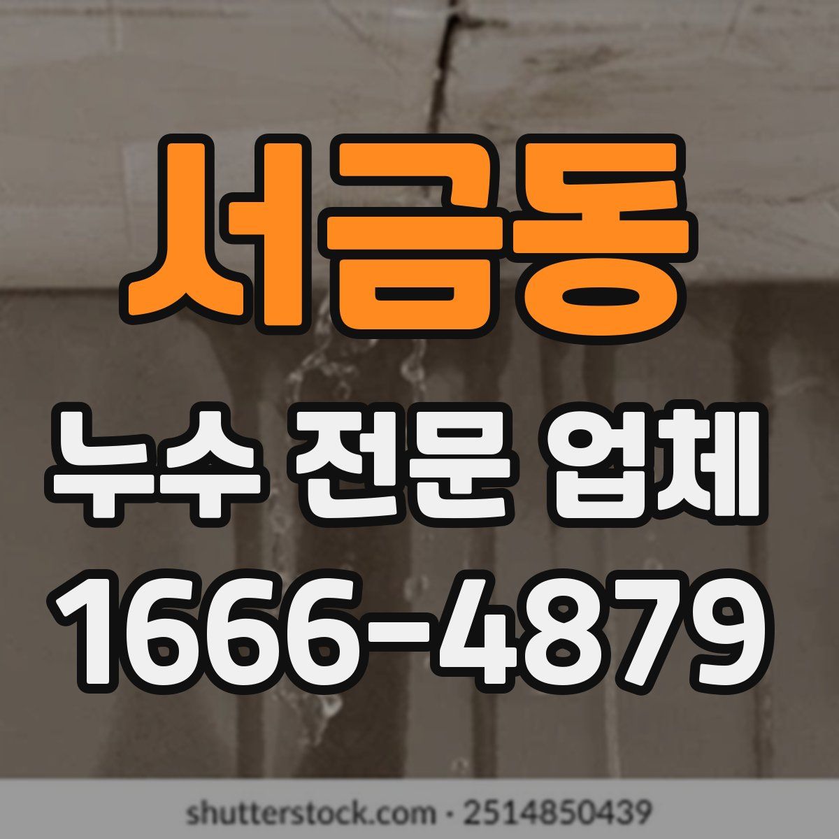 서금동 누수 전문 업체