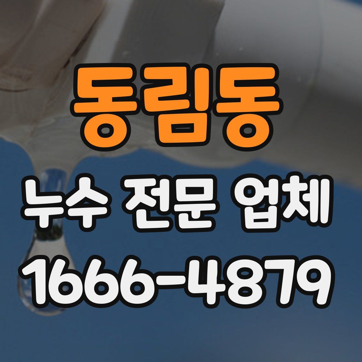 동림동 누수 전문 업체