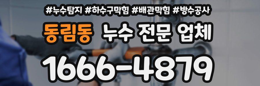 동림동 누수 전문 업체