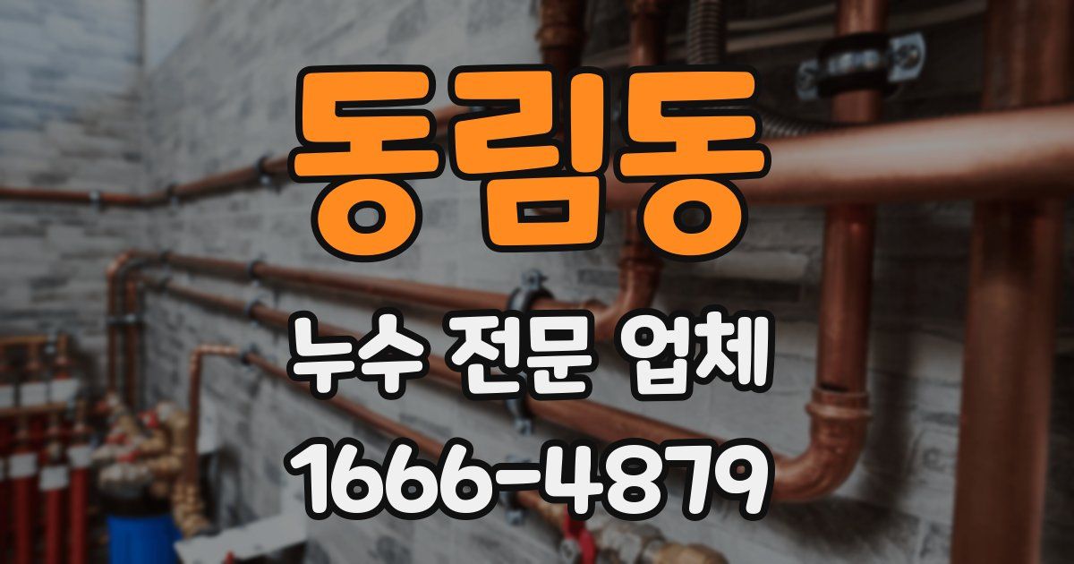 동림동 누수 전문 업체