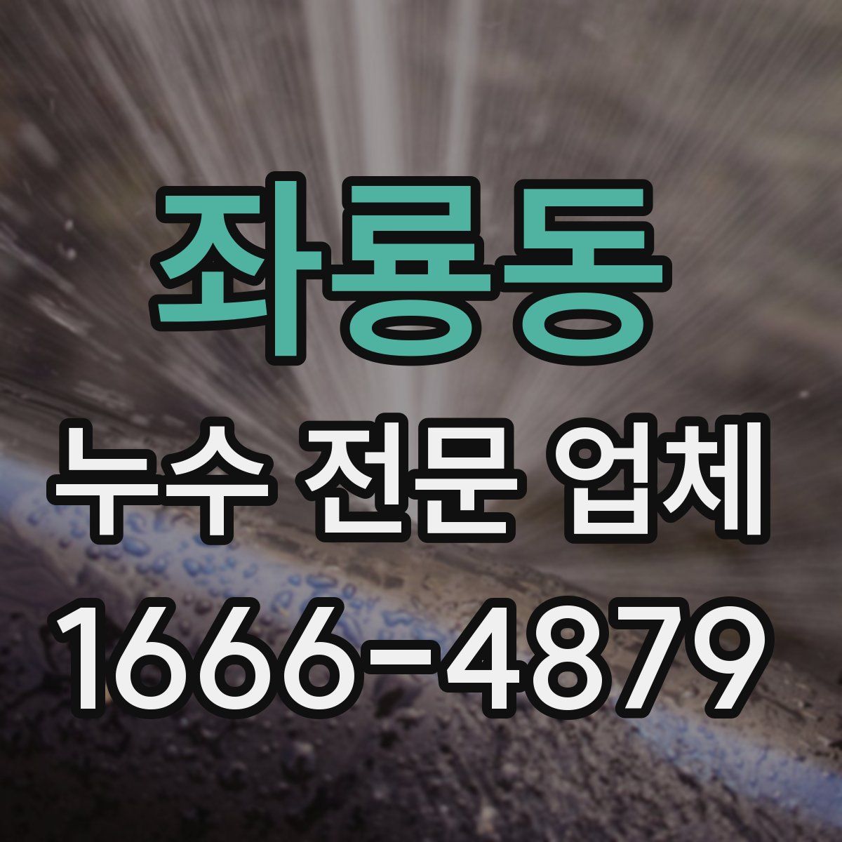 좌룡동 누수 전문 업체