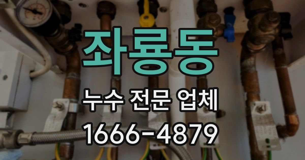 좌룡동 누수 전문 업체
