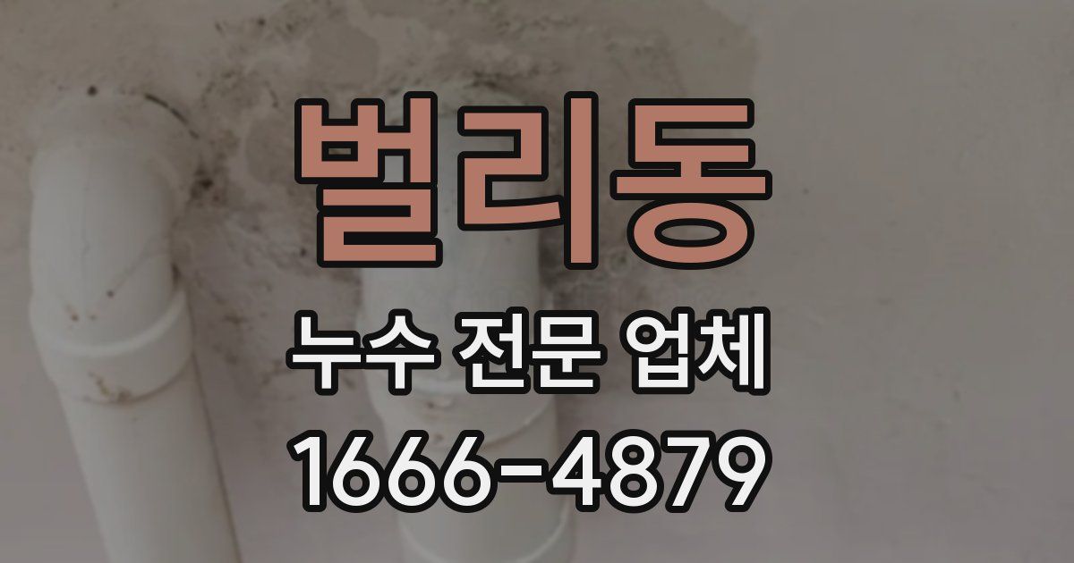 벌리동 누수 전문 업체