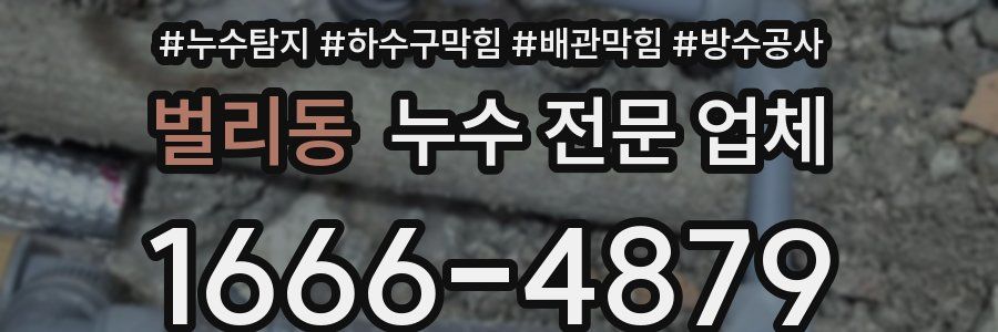 벌리동 누수 전문 업체