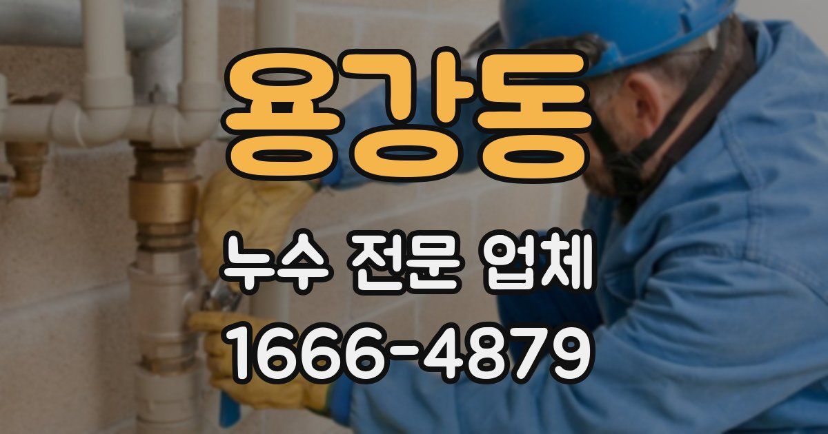 용강동 누수 전문 업체