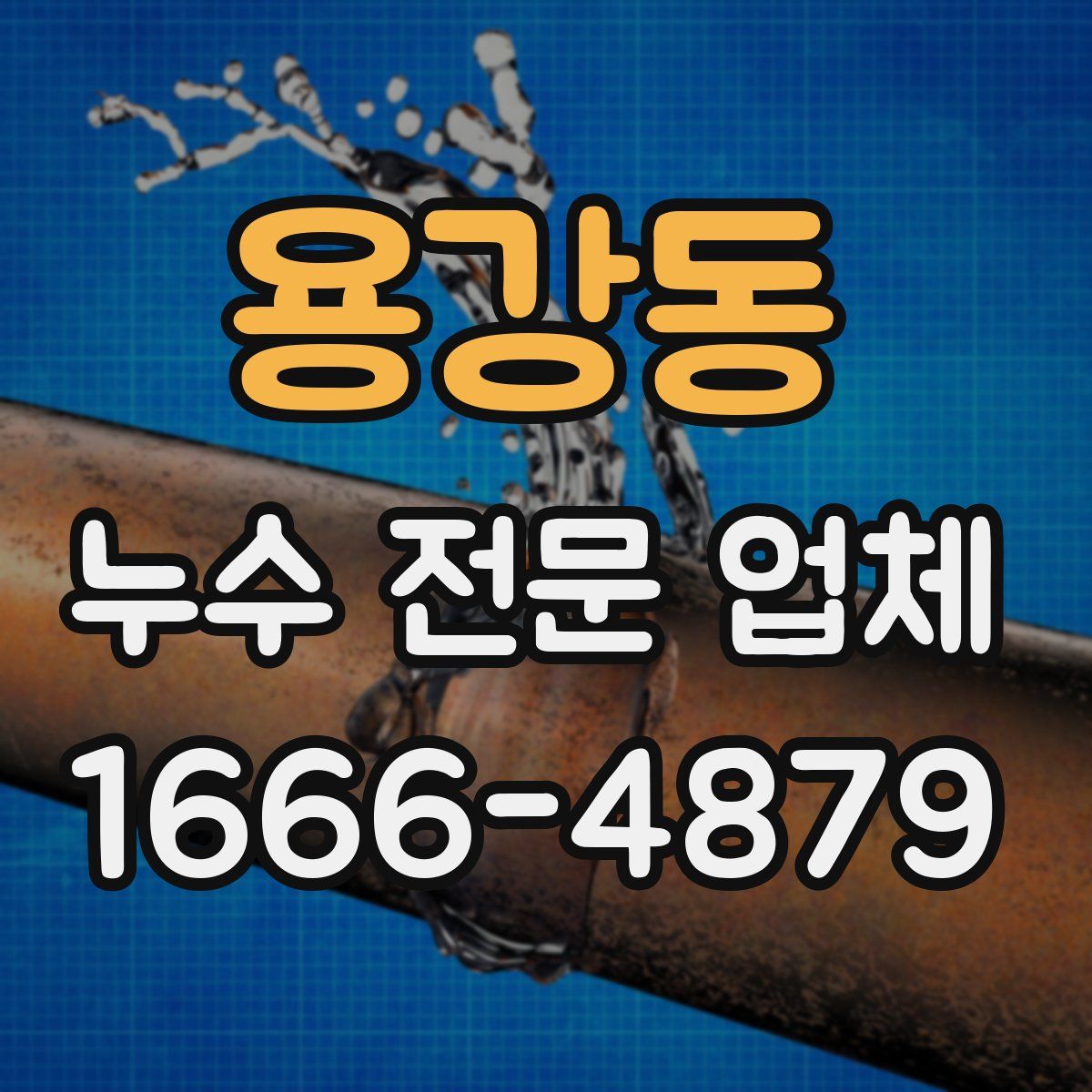 용강동 누수 전문 업체