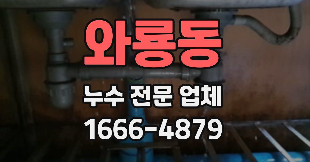 와룡동 누수 전문 업체